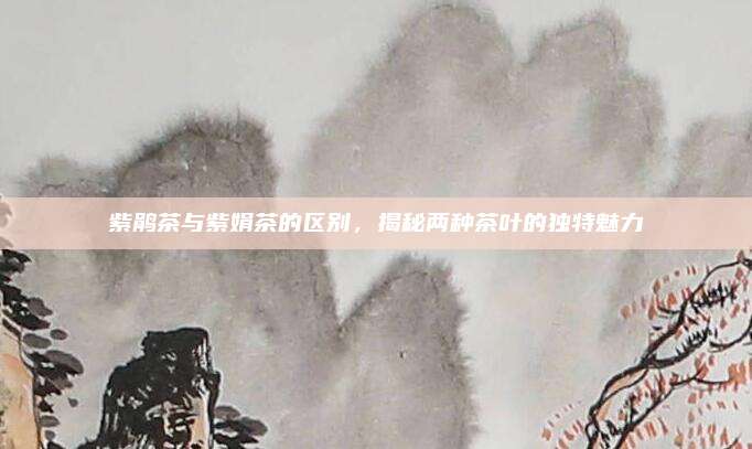 紫鹃茶与紫娟茶的区别，揭秘两种茶叶的独特魅力