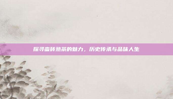 探寻蛮砖熟茶的魅力,历史传承与品味人生