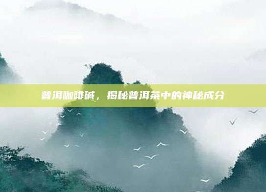 普洱咖啡碱,揭秘普洱茶中的神秘成分