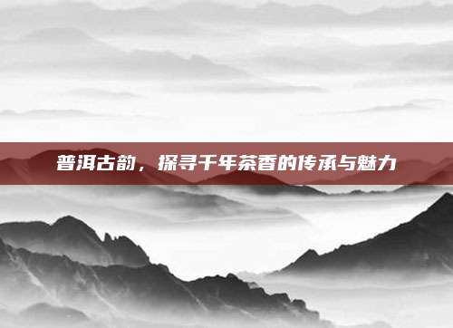 普洱古韵,探寻千年茶香的传承与魅力