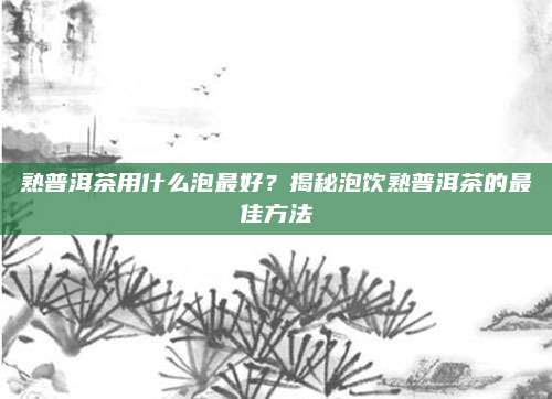 熟普洱茶用什么泡最好？揭秘泡饮熟普洱茶的最佳方法