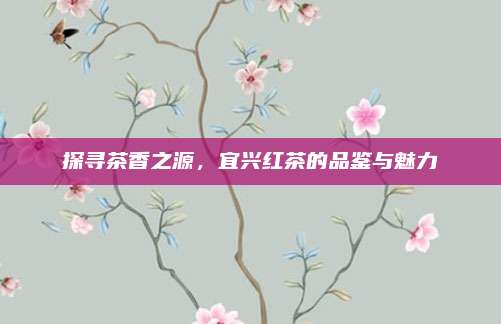 探寻茶香之源,宜兴红茶的品鉴与魅力