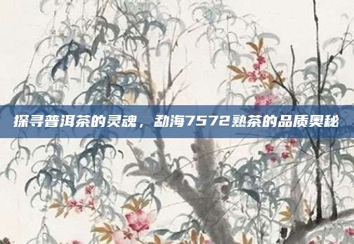 探寻普洱茶的灵魂,勐海7572熟茶的品质奥秘