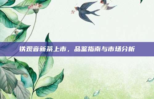 铁观音新茶上市，品鉴指南与市场分析