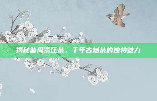 揭秘普洱紧压茶，千年古树茶的独特魅力