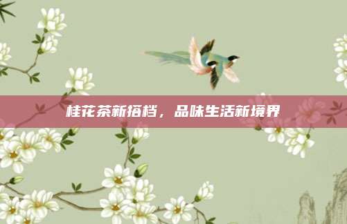 桂花茶新搭档,品味生活新境界