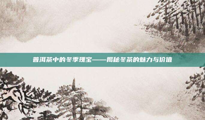 普洱茶中的冬季瑰宝——揭秘冬茶的魅力与价值